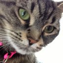 Margaret Anne Owens - @margare16645179 - Twitter