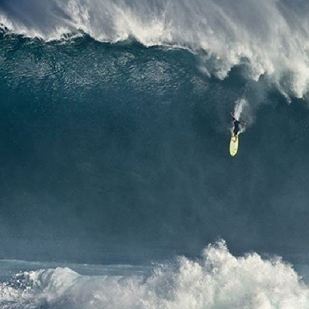 fdev2425's profile picture. 