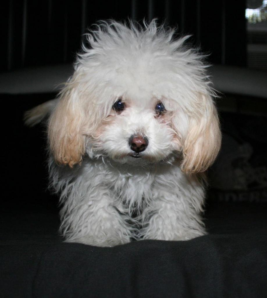 FiFiNation310's profile picture. 