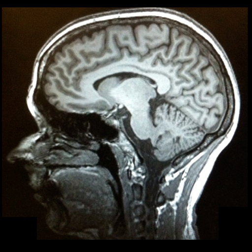 TheBACHLab Profile