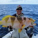 Lance Peterson - @lpbaja - Twitter