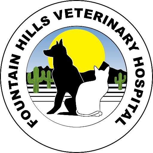 Fountain hills pet care
