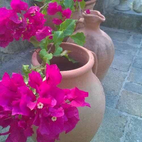 zimmerinstefi's profile picture. 