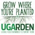 UGArden (@ugardeners) Twitter profile photo UGArden (@ugardeners) Twitter profile photo