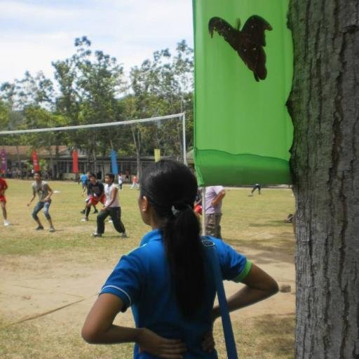 hello_Shiro's profile picture. 