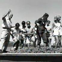 wctours's profile picture. Wine Country Tours