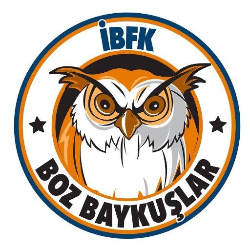 Boz Baykuşlar Resmi Twitter Hesabı