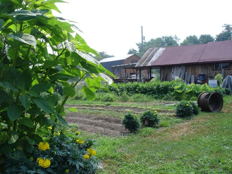 Resources and
expertise for farmers to develop Agritourism/Farm-based education  to help them effectively evaluate this new opportunity