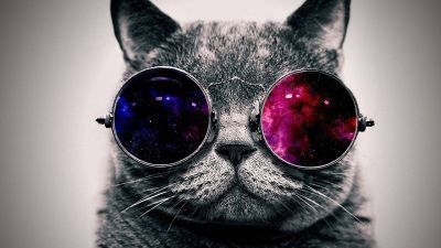 iam