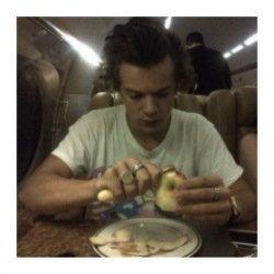 ⠀⠀⠀⠀⠀⠀⠀⠀⠀⠀⠀⠀⠀⠀⠀ Jasper ⠀⠀⠀⠀⠀⠀⠀⠀⠀⠀⠀⠀⠀⠀⠀ Gives me butterflies ⠀⠀⠀⠀⠀⠀⠀⠀⠀⠀⠀⠀⠀         In my tummy.