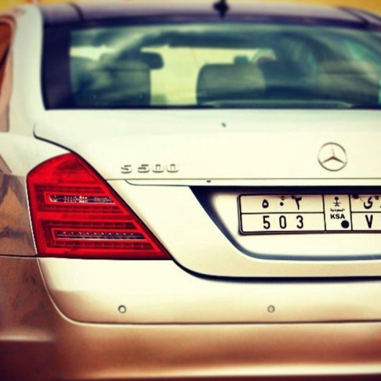 navai9988's profile picture. 