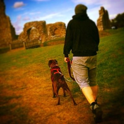 sean_evs's profile picture. 