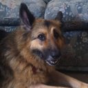 Craig Magee - @cmagee0610 - Twitter