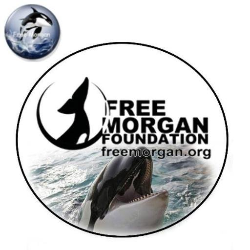 #SeaSanctuaries #RRR #Blackfish #FreeMorgan #FreeLolita #FreeKshamenk #EmptyTheTanks