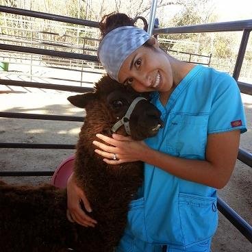 My passion for Veterinary medicine is what drives me to learn everyday, teach others to care, and to listen thoughtfully.