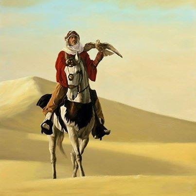 mohamedabidelaz's profile picture. 