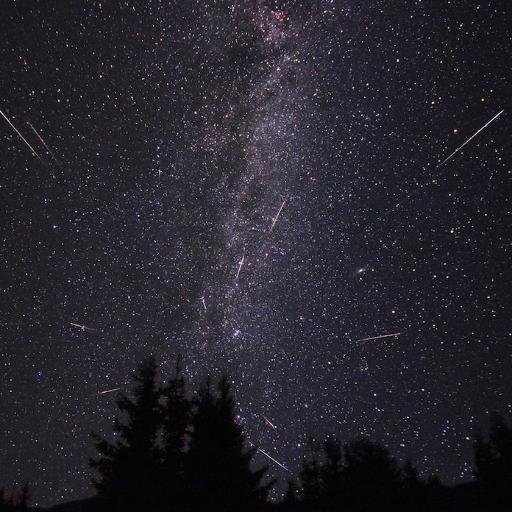 Keredig's profile picture. 