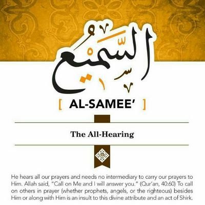 broadcast journalist, arabic tutor, socio-religious commentator, entrepreneur.