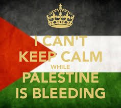 zubsebrahim's profile picture. 