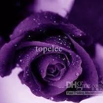 marytim28's profile picture. Trabajadora.