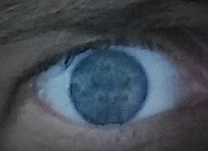 AcheFoster's profile picture. I shake two-handed, drive one-handed and talk too much.  Your safe word is molasses.