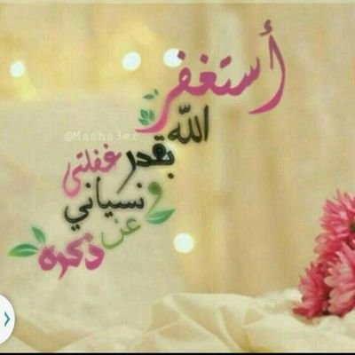 08392646's profile picture. 