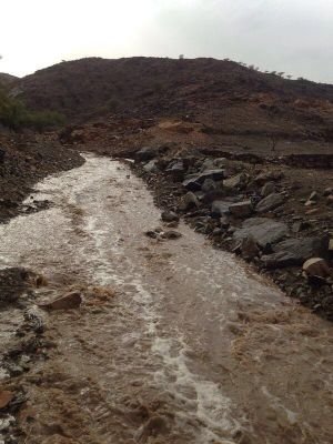 mnb120471's profile picture. 