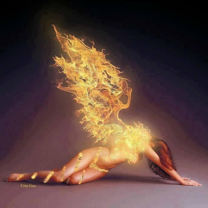 charm19641's profile picture. activists