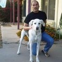 James Manheim - @james_manheim - Twitter