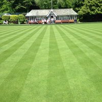 gretagardenservices (@gretagardens) 's Twitter Profile