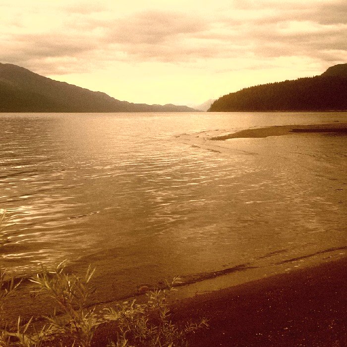 maureenleathwo1's profile picture. Administrator;teacher;mom;councillor;volunteer