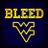 WVUfootballNews's profile image