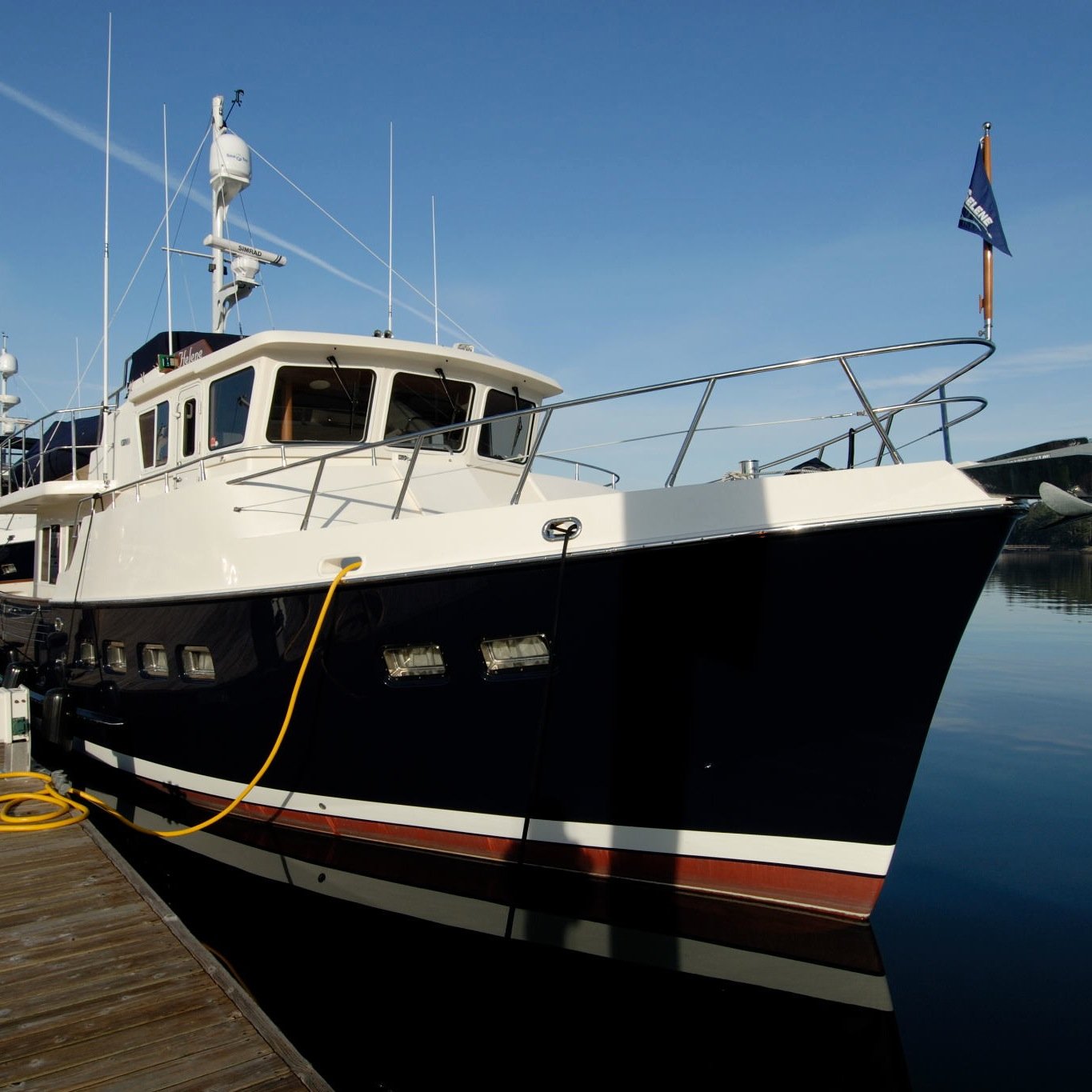 SeleneAdriatic's profile picture. 