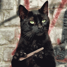 RudoBick's profile picture. Trust everyone, you hear?