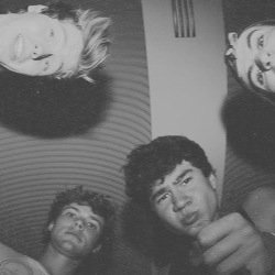 Hello this is a free follow so PLEASE GO FOLLOW @5sosassislife i will follow back on that account and if you follow already then thank you and ily :):):)
