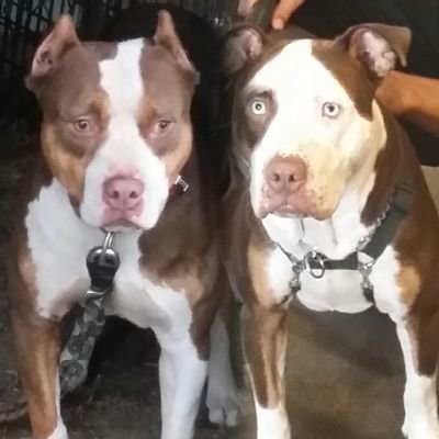 Wadesbootkampke's profile picture. 