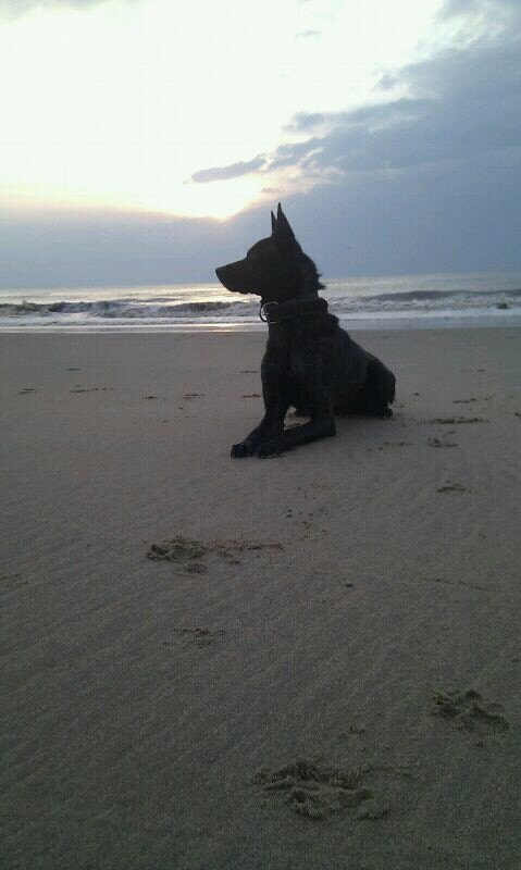 AdBremmer's profile picture. 