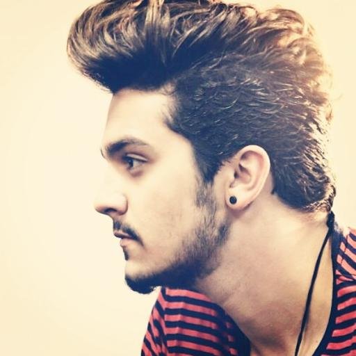 Sonho Realizado 3e4/02/12 Criado Em 03/09/11 Oficializado 23/10/11 @DayNazzi Seguiu dia 13/03/12 Te Vivo @luansantana