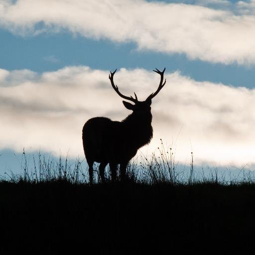 jaimepharr's profile picture. I'm a marketing professional who occasionally takes photos.