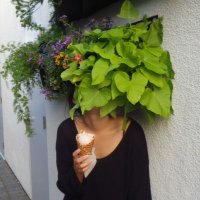 Ann Chen (@annhchen) 's Twitter Profile