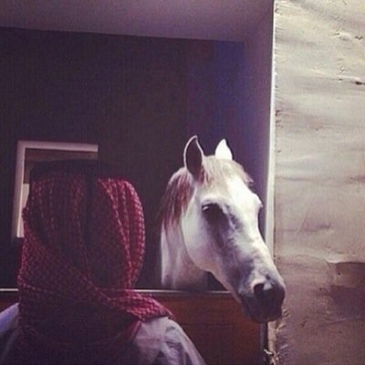 من سلالة من لهم فعل وعزاوي ♡`