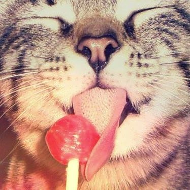 Soy una persona muy afortunada! ♥