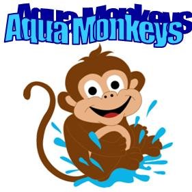 Owner of Aqua Monkeys. A Certified Master Instructor of the Infant Swimming Resource (ISR) Technique.