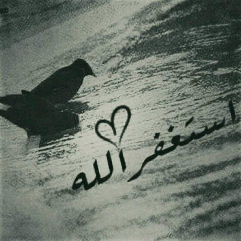 عضوة في دعم#منصور_القرني