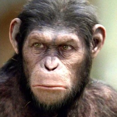 I am Caesar, leader of the colony. Words are no more than communication, but actions prove worthy or worthless.
