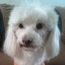 Scarlet Ramirez  - @SkiRamirez - Twitter