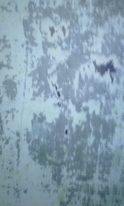 MaxMm243's profile picture. Надписи на стенах