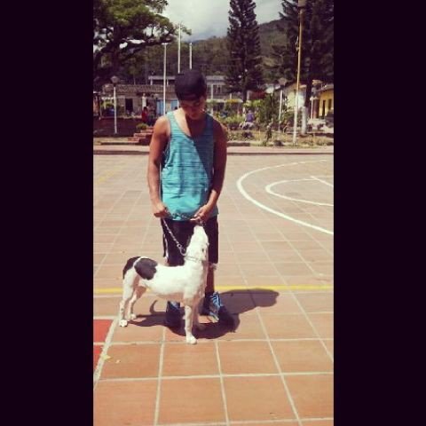 Instagram : angelodiaz10
