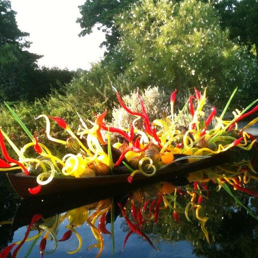 silverfun19's profile picture. Media maven, Mother, lover of books, UT grad, movie buff, dachshund owner