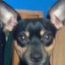 Anesa K. Chastain Jones (@akkate71) Twitter profile photo Anesa K. Chastain Jones (@akkate71) Twitter profile photo